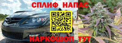 PSILOCYBIN Канаш