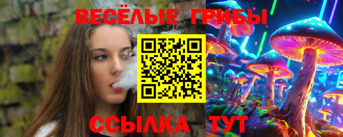 Галлюциногенные грибы ЛСД Кудрово