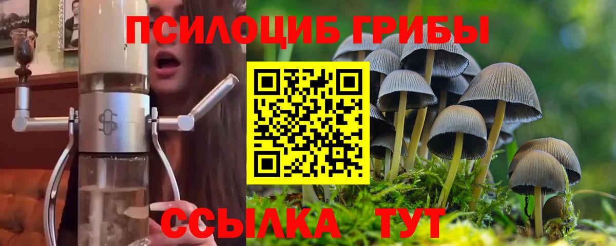 Кудрово  Галлюциногенные грибы MAGIC MUSHROOMS  Псилоцибиновые грибы прущие грибы  Вход с VPN 